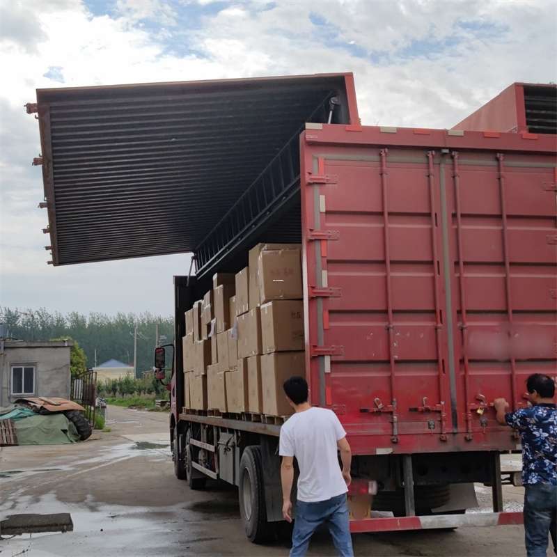 丹徒区扎囊县：物流专线的高效货运之旅